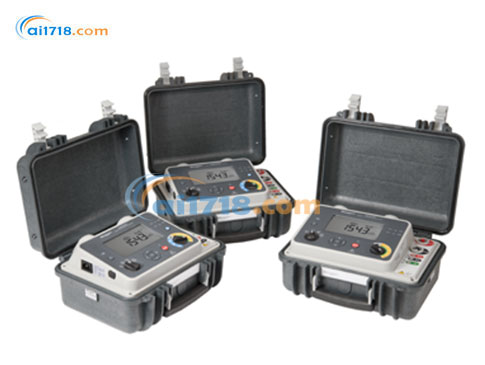 DLRO100EB便攜微歐表