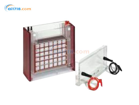 TANKBLOT ECO-MAXI濕法轉印系統(tǒng)