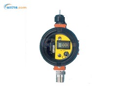 C12-17 可燃?xì)怏w檢測(cè)儀